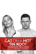 Película Cat on a Hot Tin Roof