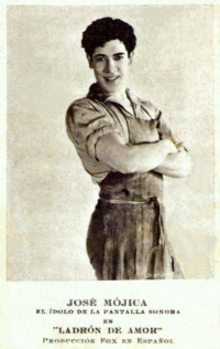 Ladrón de amor