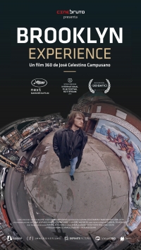 Brooklyn Experience Brooklyn Experience