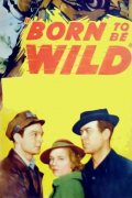 Película Born to Be Wild