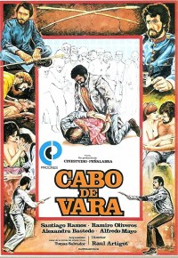 Cabo de vara