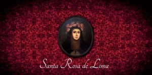 Rosa de Santa Maria