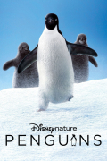 Película Penguins