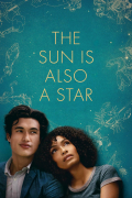 Película The Sun Is Also a Star