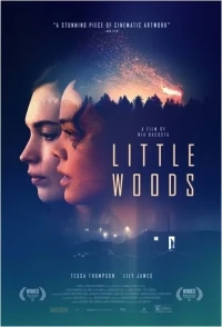 Película Little Woods