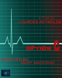 Option C Option C