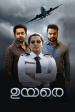 Película Uyare
