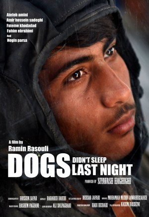 Dogs didn't sleep last night