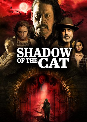 La Sombra Del Gato La Sombra Del Gato