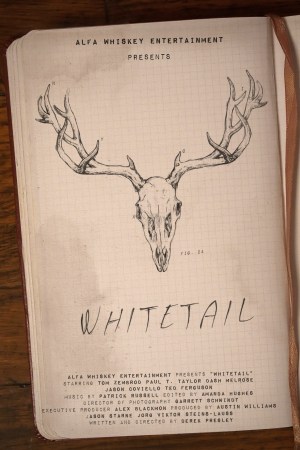 Whitetail