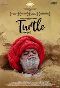Turtle
