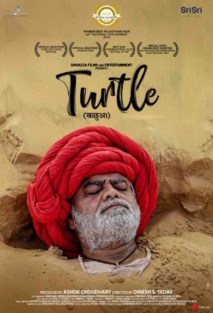 Turtle