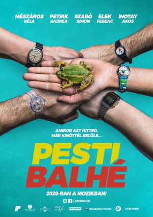 Pesti balhé