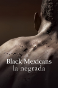 Película Black Mexicans