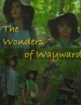 The Wonders of Wayward