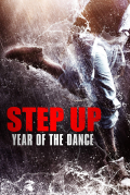 Película Step Up Year Of The Dance