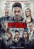 Película Pitbull. Ostatni Pies