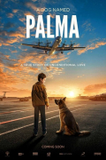Película Palma