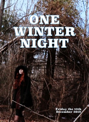 One Winter Night