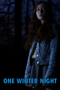 Película One Winter Night