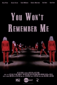 You Won't Remember Me You Won't Remember Me