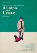 Película Il colpo del cane