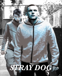 Stray Dog