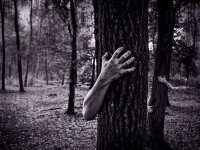 Scary Stories 2018