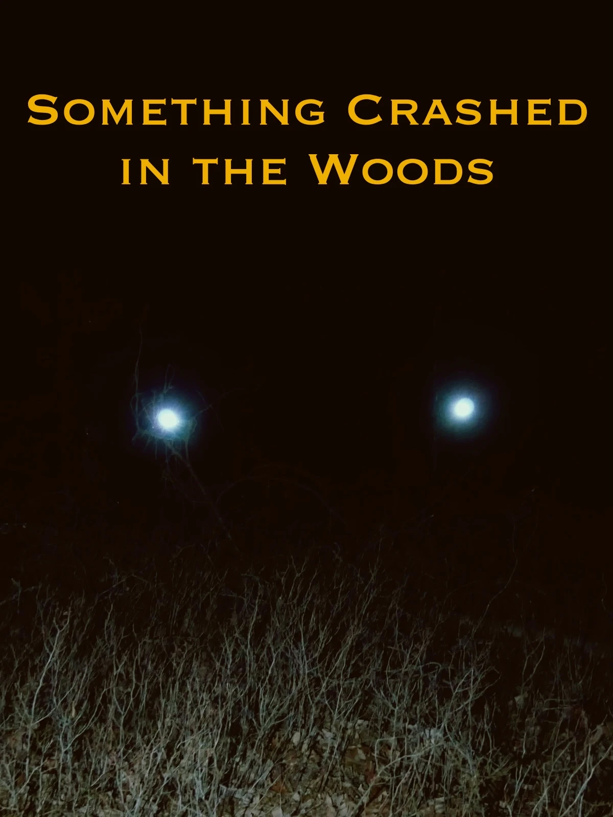 Something Crashed in the Woods