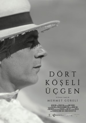 Dört köseli üçgen Dört köseli üçgen