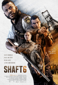 Shaft 6