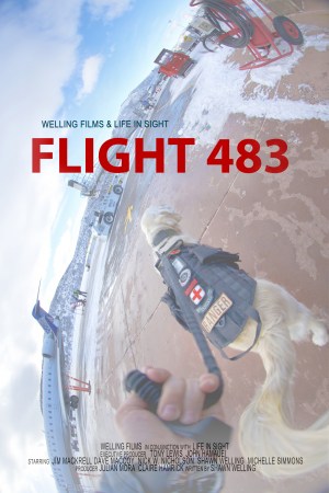 Flight 483