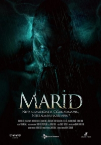 Marid