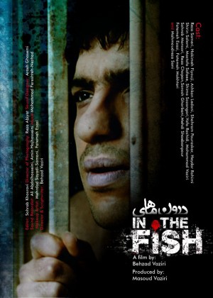 In the Fish