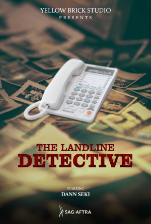 The Landline Detective The Landline Detective