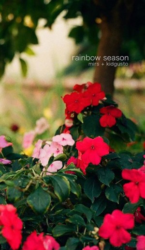 Rainbow Season
