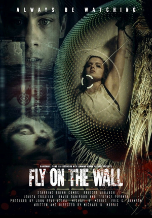 Fly on the Wall Fly on the Wall