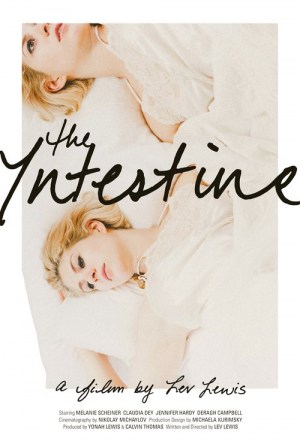 The Intestine