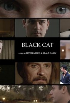 Black Cat