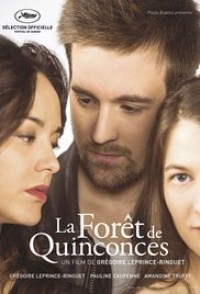 La forêt de Quinconces