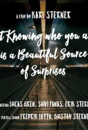 Not Knowing Who You Are Is a Beautiful Source of Surprises