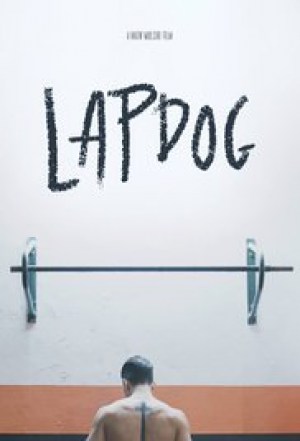 Lapdog