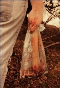 Blood Will Have Blood