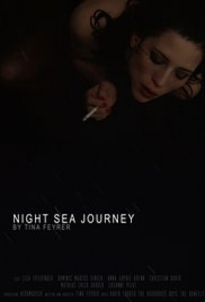 Night Sea Journey