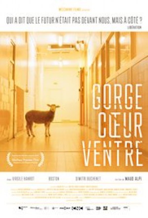 Gorge coeur ventre