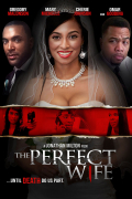 Película The Perfect Wife