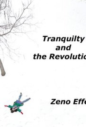 Tranquility and the Revolution Zeno Effect