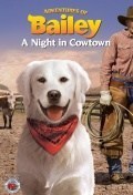 Adventures of Bailey: A Night in Cowtown