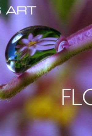 Moving Art: Flowers