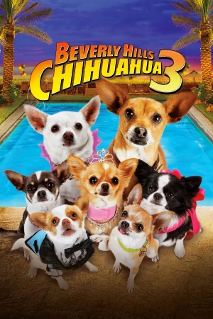 Un chihuahua en Beverly Hills 3: ¡Viva la fiesta!